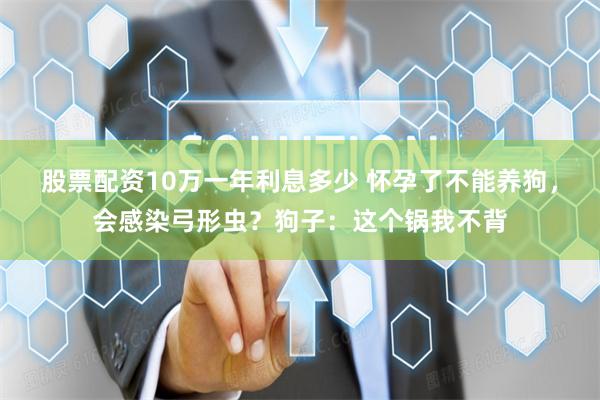 股票配资10万一年利息多少 怀孕了不能养狗，会感染弓形虫？狗子：这个锅我不背