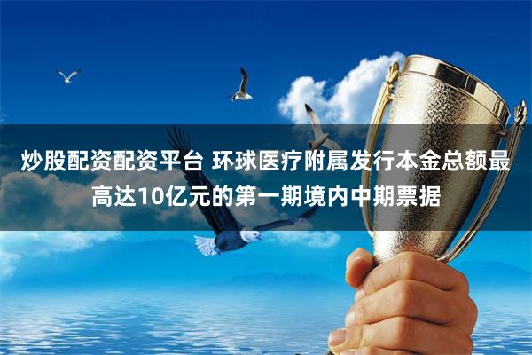 炒股配资配资平台 环球医疗附属发行本金总额最高达10亿元的第一期境内中期票据