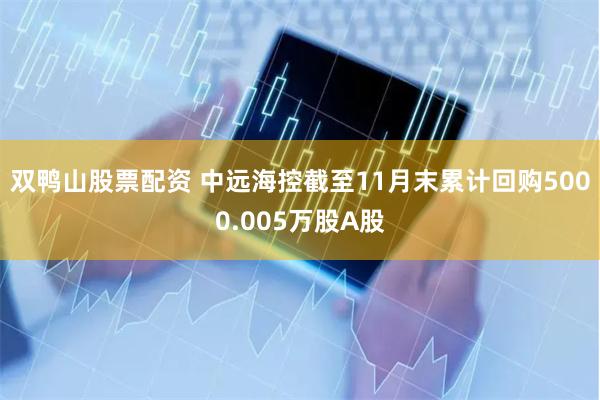 双鸭山股票配资 中远海控截至11月末累计回购5000.005万股A股