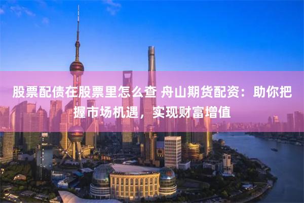 股票配债在股票里怎么查 舟山期货配资：助你把握市场机遇，实现财富增值